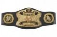 World Tag Team Champions - 